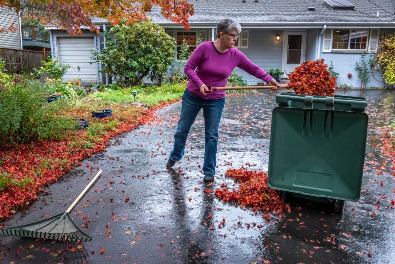 Yard After Leaf Removal
