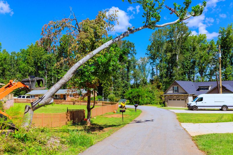 Residential Tree Service